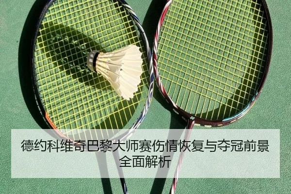 德约科维奇巴黎大师赛伤情恢复与夺冠前景全面解析 | OD SPORTS